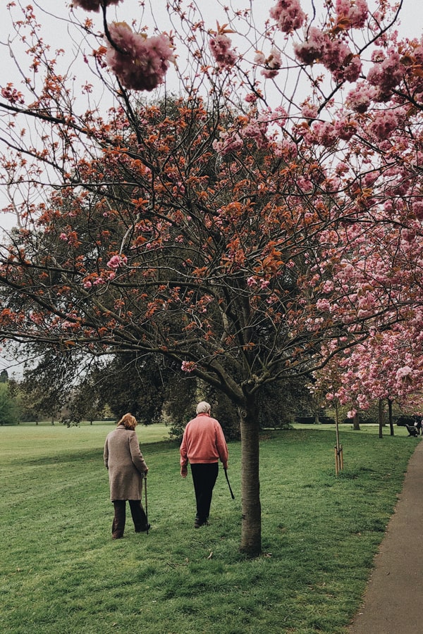 walking is a healthy senior citizen activity